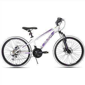 21 Speed Adult Mountain Bike