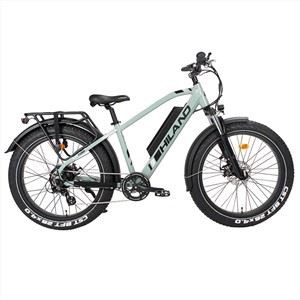 Sanford Fat Electric MTB