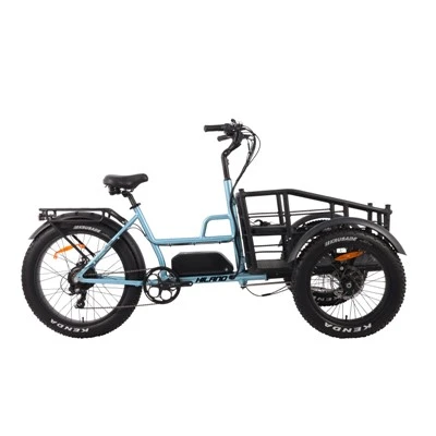 Tovorno kolo zadnjega nakladalnika 48V 15AH 750W s 3-kolesnim kolesarskim tovornim triciklom električno tovorno kolo